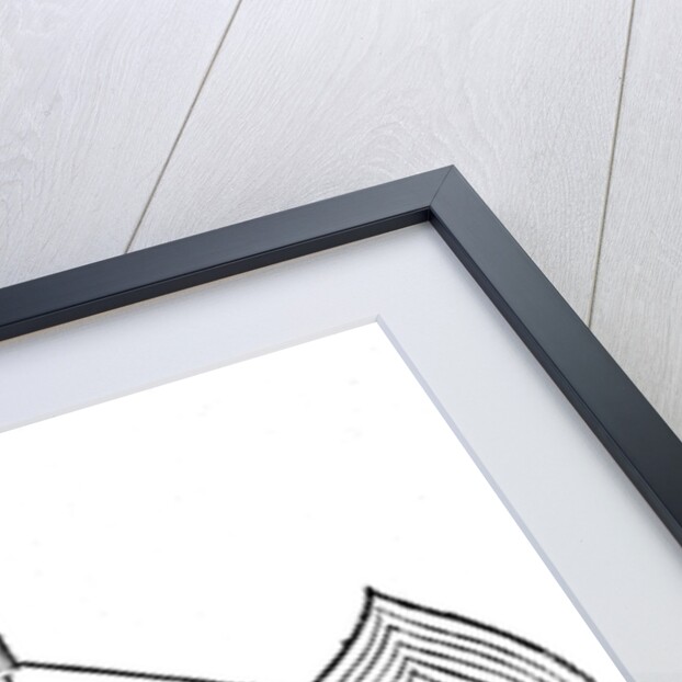 Descartes' representation of the antagonistic eye muscles, 1692 by Unknown