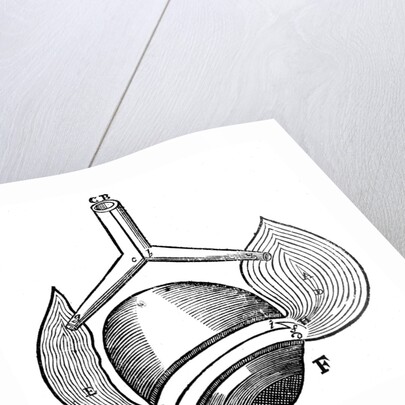 Descartes' representation of the antagonistic eye muscles, 1692 by Unknown