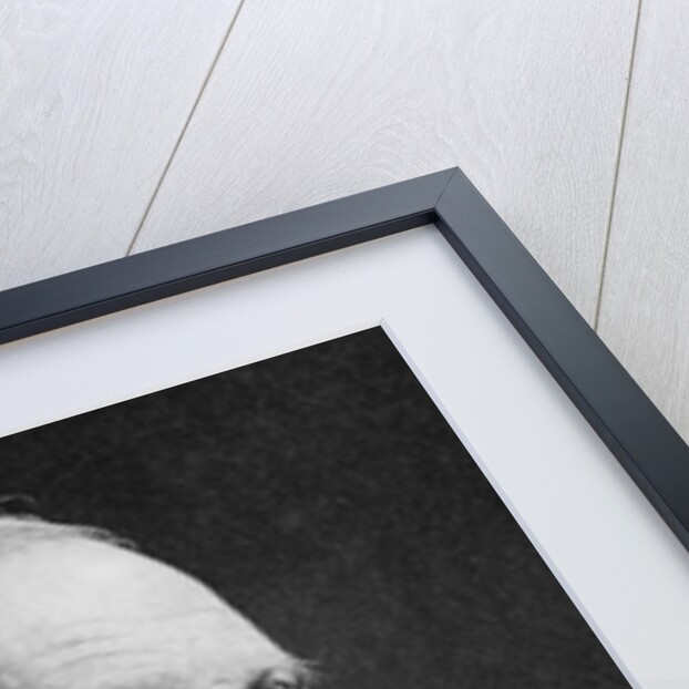 Joseph Lister, English surgeon and pioneer of antiseptic surgery, c1890 by Unknown