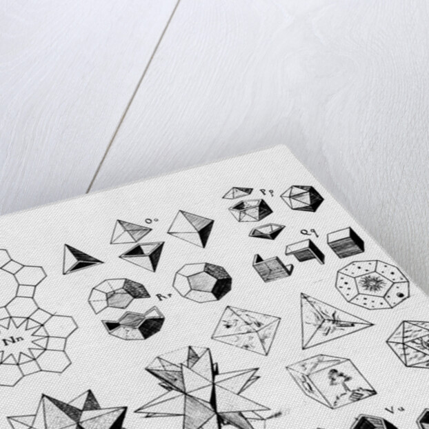 Regular geometrical solids of various types, 1619 by Unknown