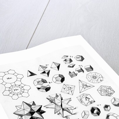 Regular geometrical solids of various types, 1619 by Unknown
