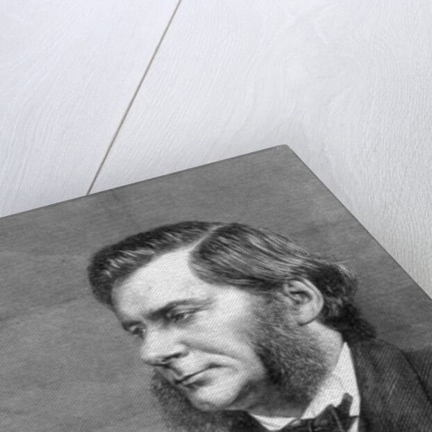 Thomas Henry Huxley, British biologist, 1871 by Unknown