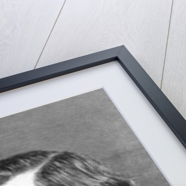 Thomas Henry Huxley, British biologist, 1871 by Unknown