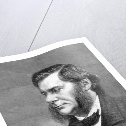 Thomas Henry Huxley, British biologist, 1871 by Unknown
