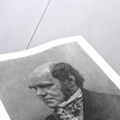 Charles Darwin, English naturalist, 1884 by Anonymous