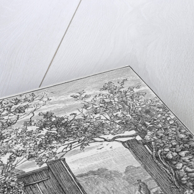 Charles Darwin in the sand walk at Down House, c1870 (1887) by Unknown