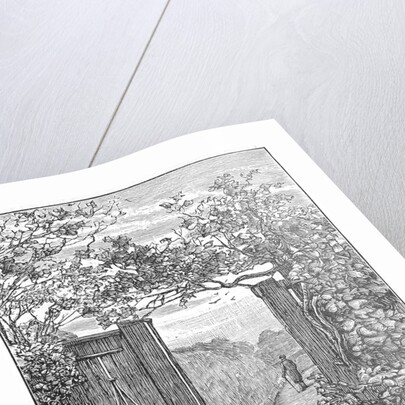 Charles Darwin in the sand walk at Down House, c1870 (1887) by Unknown