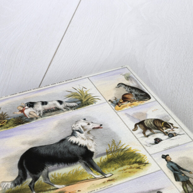 The Dog, c1850 by Benjamin Waterhouse Hawkins