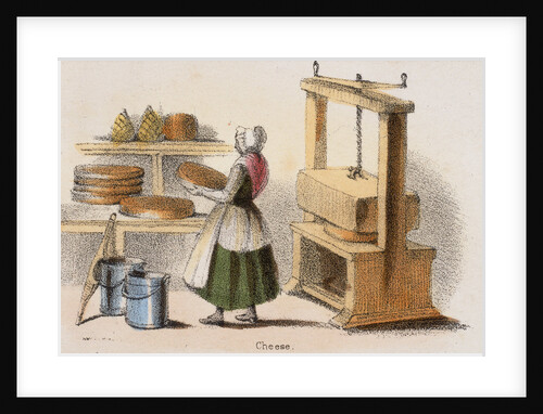 Cheese, c1845. by Benjamin Waterhouse Hawkins