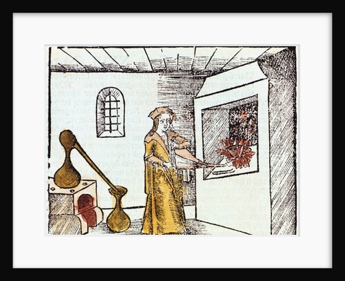 Chemist, 1508 by Unknown