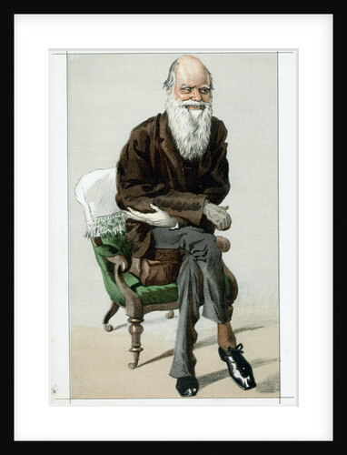 Charles Darwin, English naturalist, 1871 by Unknown
