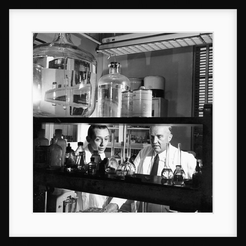 Charles Herbert Best, Canadian physiologist, 1960 by Unknown