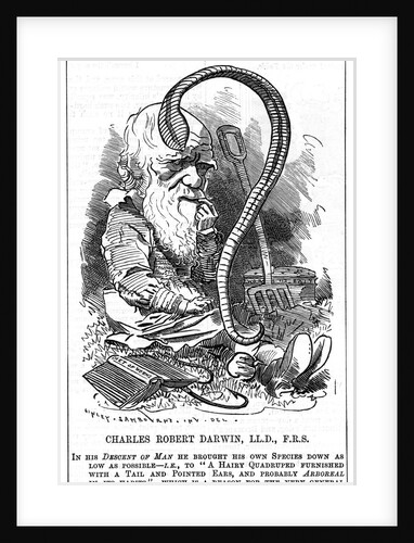 Charles Darwin, English naturalist, 1881 by Edward Linley Sambourne