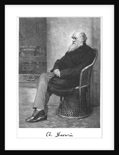 Charles Darwin, English naturalist, 1883 by Unknown