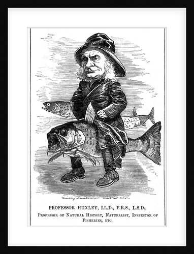 Thomas Henry Huxley, English biologist, 1881 by Edward Linley Sambourne