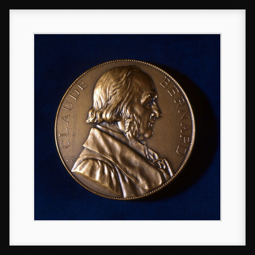 Claude Bernard, French physiologist, 19th century by Unknown