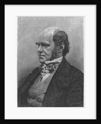 Charles Darwin, English naturalist, 1884 by Anonymous