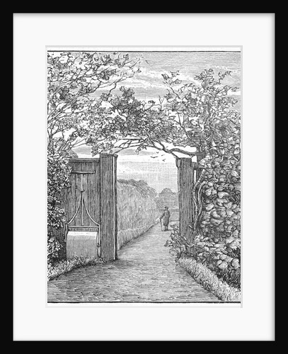 Charles Darwin in the sand walk at Down House, c1870 (1887) by Unknown