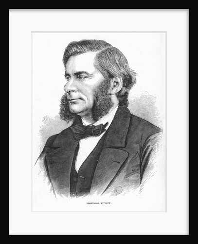 Thomas Henry Huxley, British biologist, c1860s by Unknown