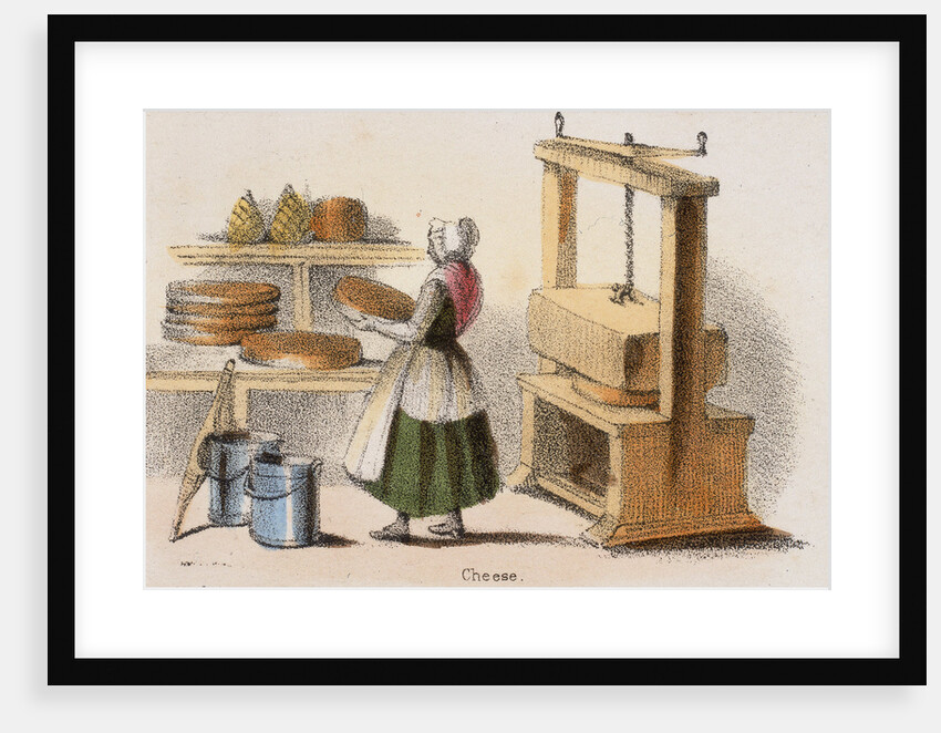 Cheese, c1845. by Benjamin Waterhouse Hawkins