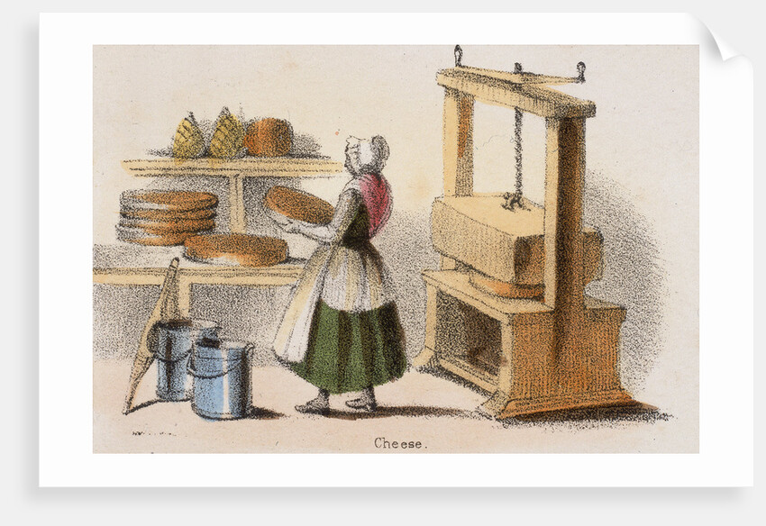 Cheese, c1845. by Benjamin Waterhouse Hawkins