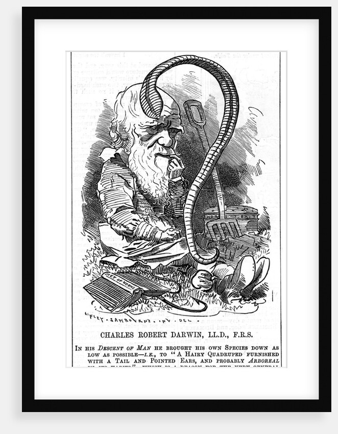 Charles Darwin, English naturalist, 1881 by Edward Linley Sambourne