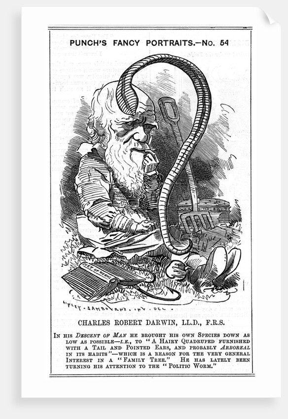 Charles Darwin, English naturalist, 1881 by Edward Linley Sambourne