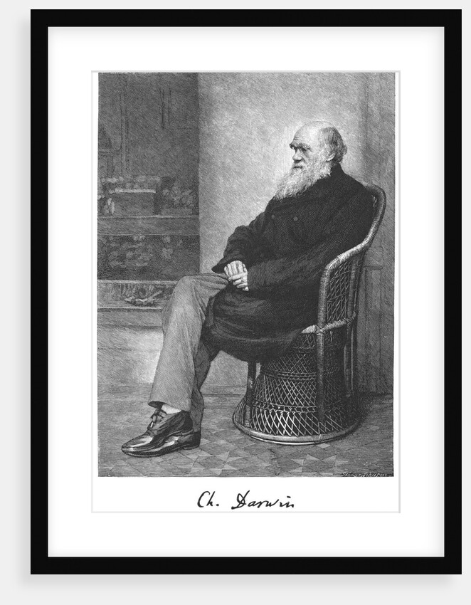 Charles Darwin, English naturalist, 1883 by Unknown