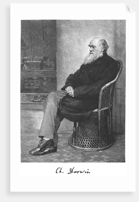 Charles Darwin, English naturalist, 1883 by Unknown