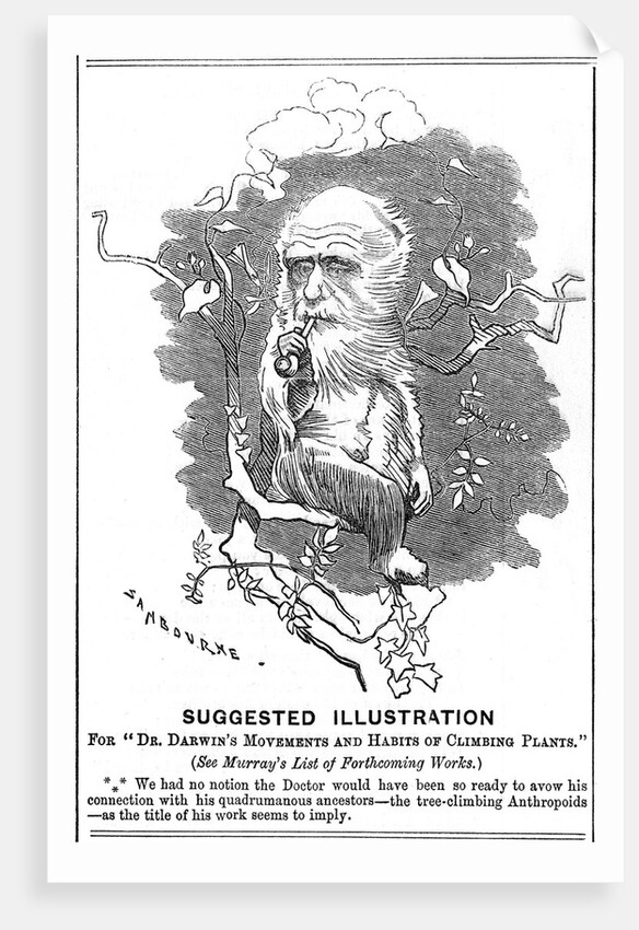 Charles Darwin, English naturalist, 1875 by Edward Linley Sambourne