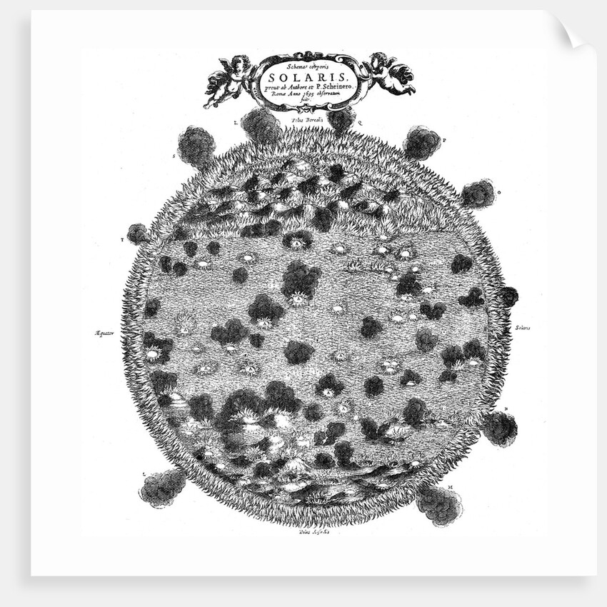Christopher Scheiner's illustration of his idea of the surface of the sun, 1635 by Unknown