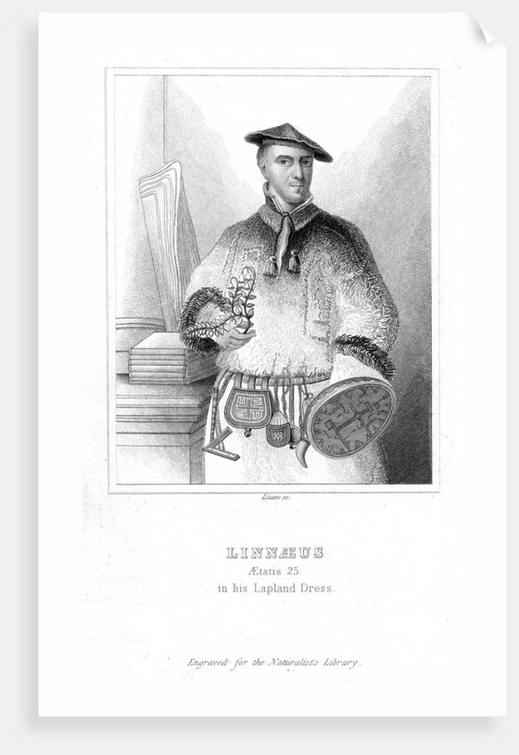 Carolus Linnaeus, Swedish naturalist, 1732 (early 19th century) by William Home Lizars