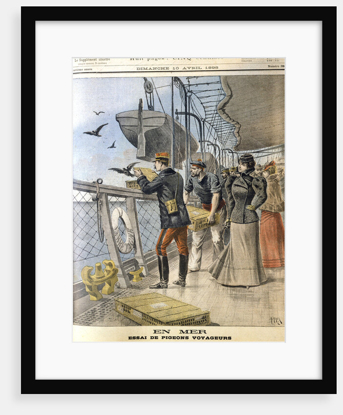 Releasing French army homing pigeons on board the transatlantic liner La Bretagne, 1898 by Unknown
