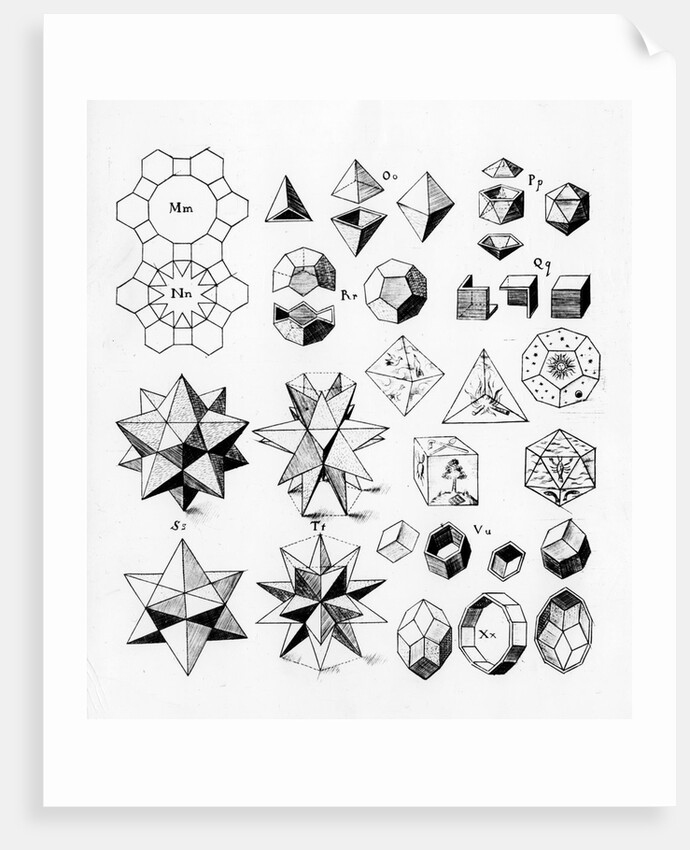 Regular geometrical solids of various types, 1619 by Unknown