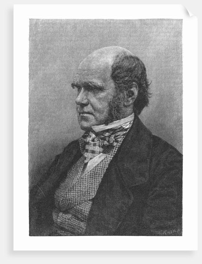 Charles Darwin, English naturalist, 1884 by Anonymous