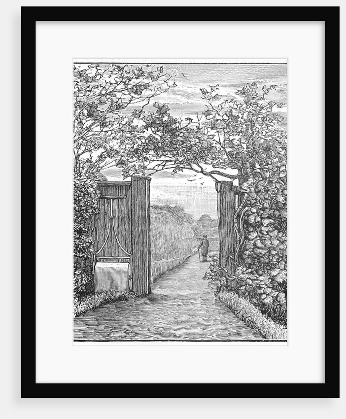 Charles Darwin in the sand walk at Down House, c1870 (1887) by Unknown