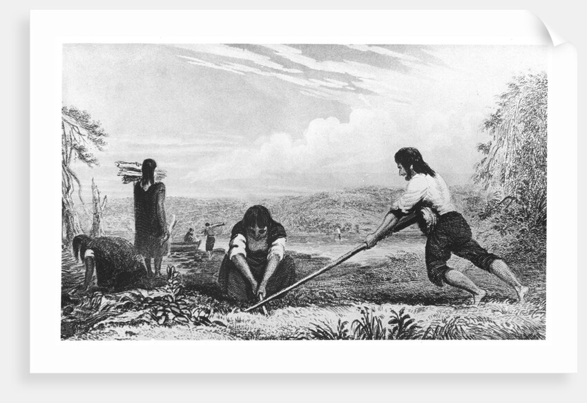 Natives of Chiloe, Patagonia, using a breast plough, 1839 by Unknown