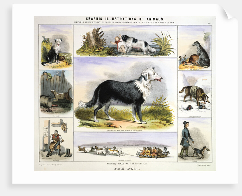 The Dog, c1850 by Benjamin Waterhouse Hawkins