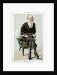 Charles Darwin, English naturalist, 1871 by Unknown