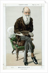 Charles Darwin, English naturalist, 1871 by Unknown