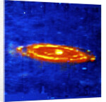 Andromeda Galaxy by Unknown