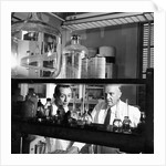 Charles Herbert Best, Canadian physiologist, 1960 by Unknown