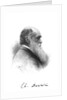 Charles Darwin, English naturalist, c1880 by Unknown