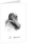 Charles Darwin, English naturalist, c1880 by Unknown