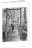 Charles Darwin (1809-1882), English naturalist, in his greenhouse by Unknown