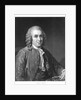 Carolus Linnaeus, 18th century Swedish naturalist, 1835 by Unknown