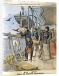 Releasing French army homing pigeons on board the transatlantic liner La Bretagne, 1898 by Unknown