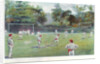 Cricket Field at Bournville, 1892 by Unknown.