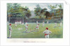 Cricket Field at Bournville, 1892 by Unknown.