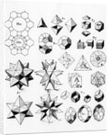 Regular geometrical solids of various types, 1619 by Unknown